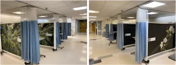 Government & Public Health